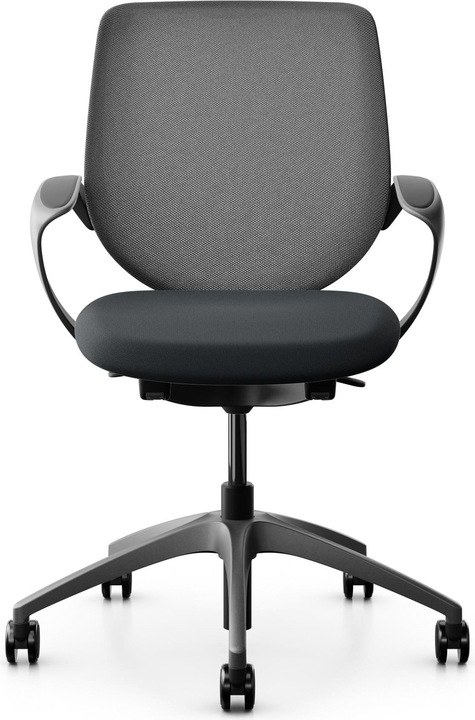 Actual product image Giroflex Netzrücken mit Armlehnen 313