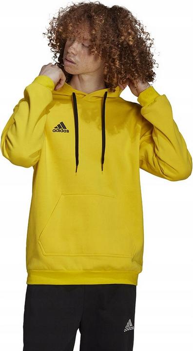 Produktbild Adidas Entrada 22 Kapuzenpullover (XXL)