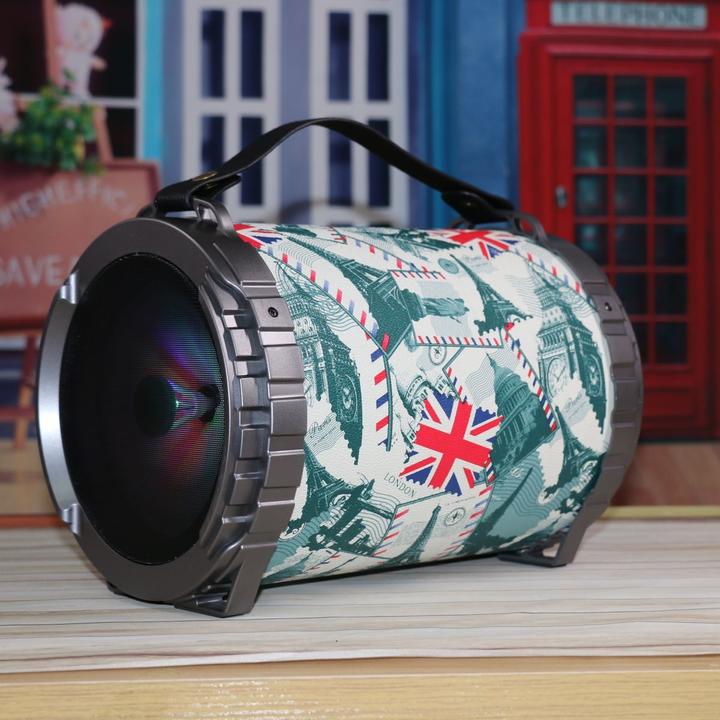 Actual product image Platinet OG73P Portable Speaker