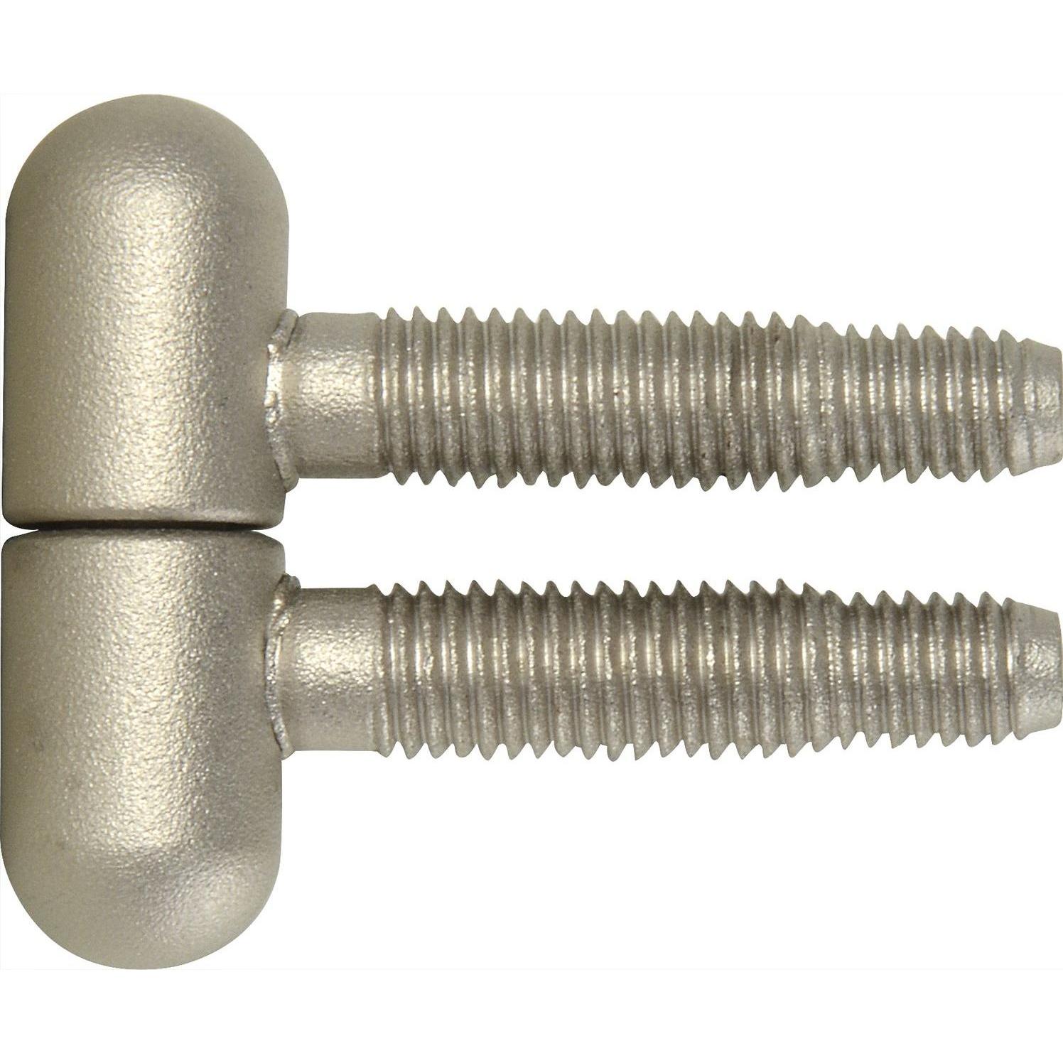 SFS, Türbeschlag + Scharnier, Einbohrband Türband 3-fach ø 13 mm mit Rundkopf, Stahl vernickelt matt