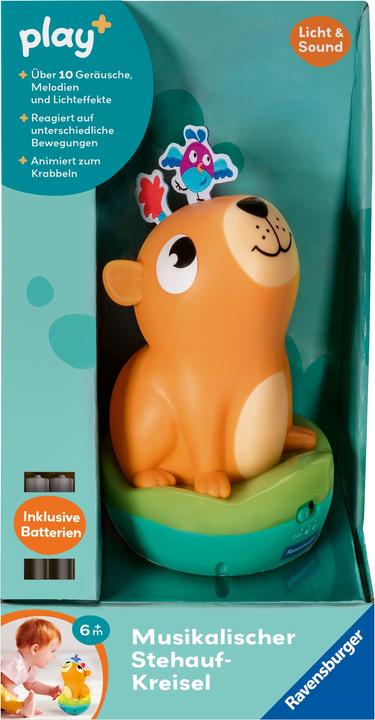 Actual product image Ravensburger 4874 play+ Musical stand-up spinning top: Capybara, Roly-Poly, stand-up male (German)