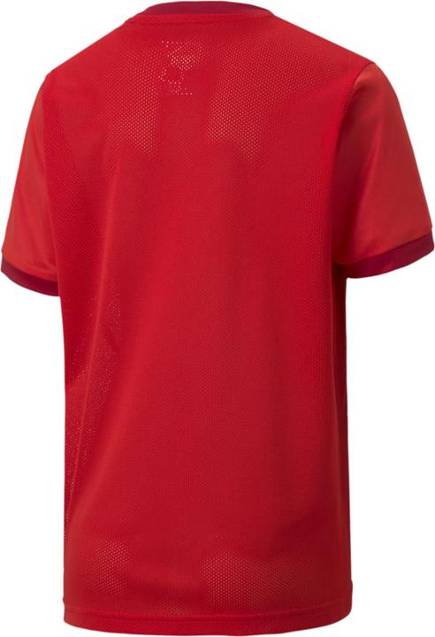 Actual product image Puma teamGOAL 23 Jersey jr-704160 (128)