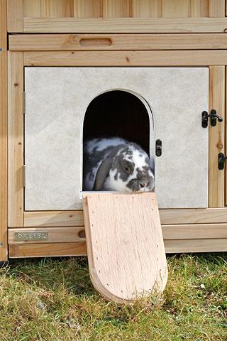 Actual product image Kerbl Rodent house Tyrol Alpin