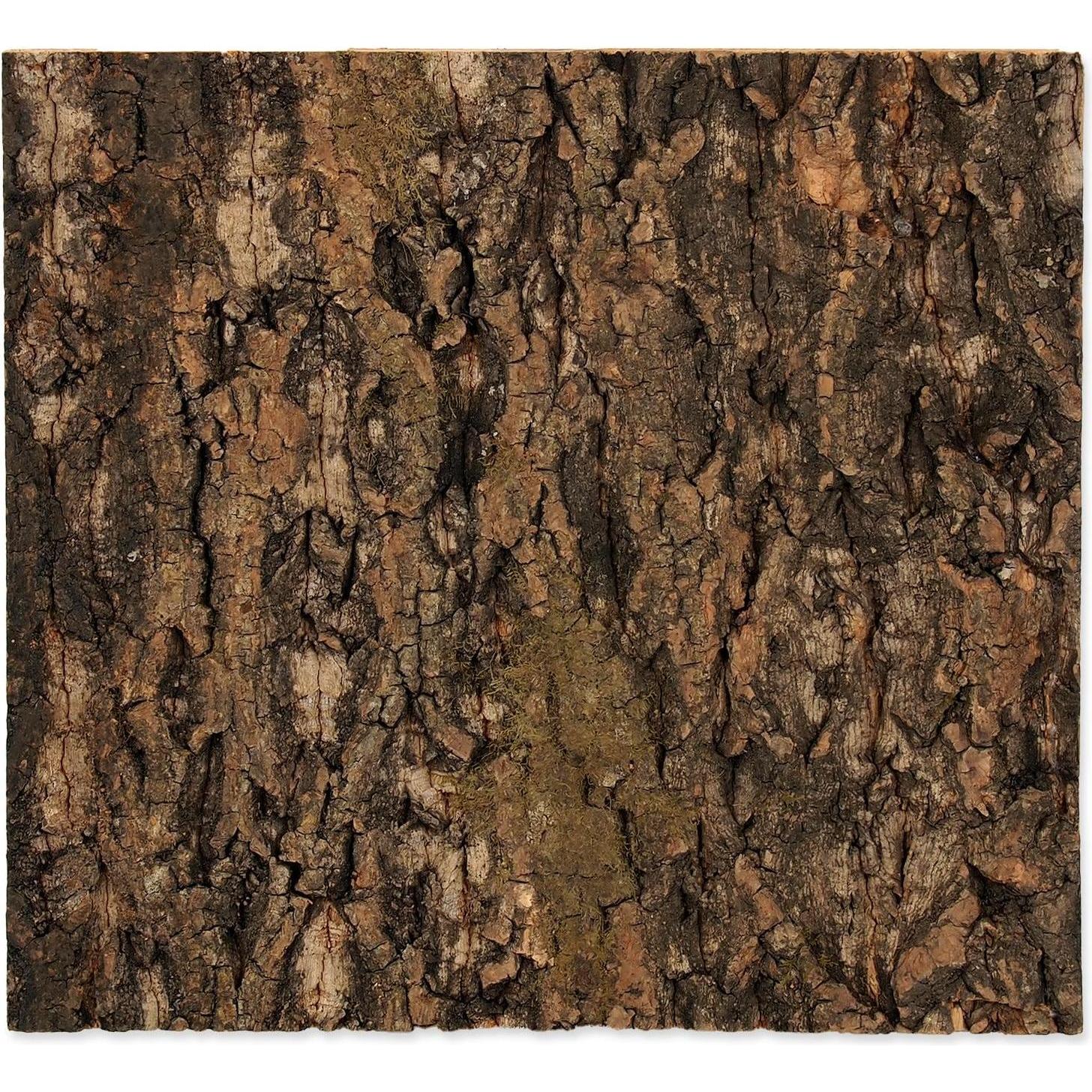 Repti Planet Kork-Rück Wand 29 x 27.3 x 2 cm, Terrariumeinrichtung