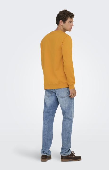 Produktbild Only & Sons Onsconnor Reg Crew Neck Sweat Noos (L)