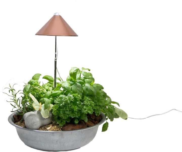 Colibri Sunlite (LED, 230 V)