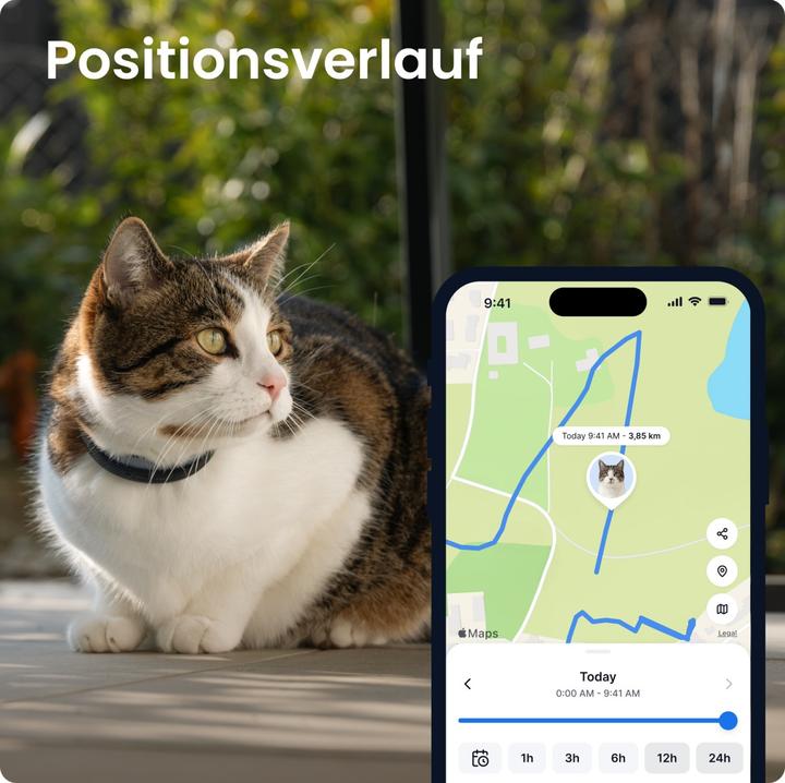 Actual product image Tractive CAT 6 mini (Cat)