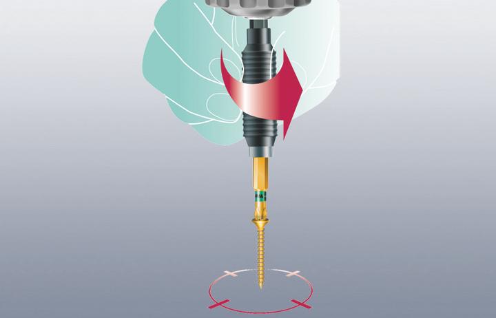 Actual product image Wera 889/4/1 Rapidaptor (1/4 inch)