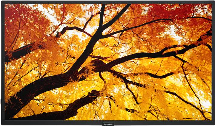 NEC Sharp Large Format Display M862 (3840 x 2160 pixel, 86")