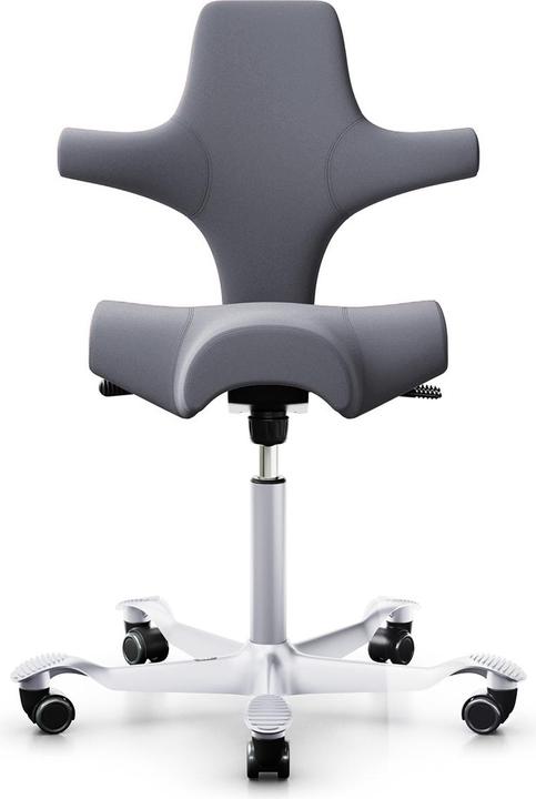 HAG Capisco 8106
