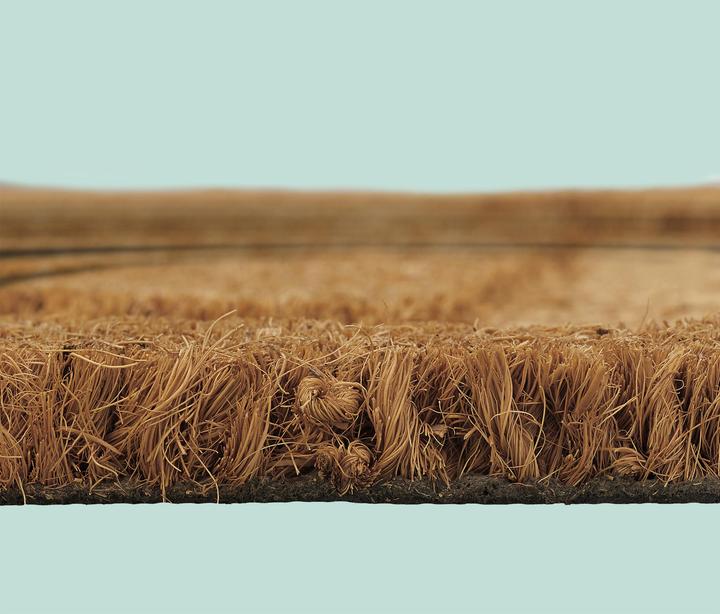 Immagine prodotto Relaxdays zerbino (50 x 80 cm)