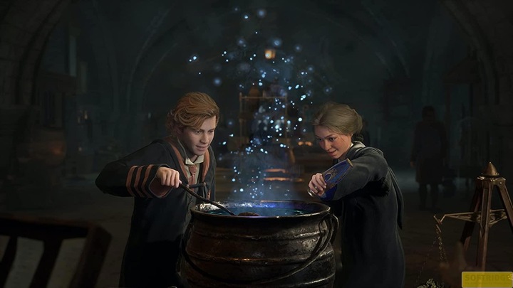 Produktbild WB Hogwarts Legacy (PS4, DE)
