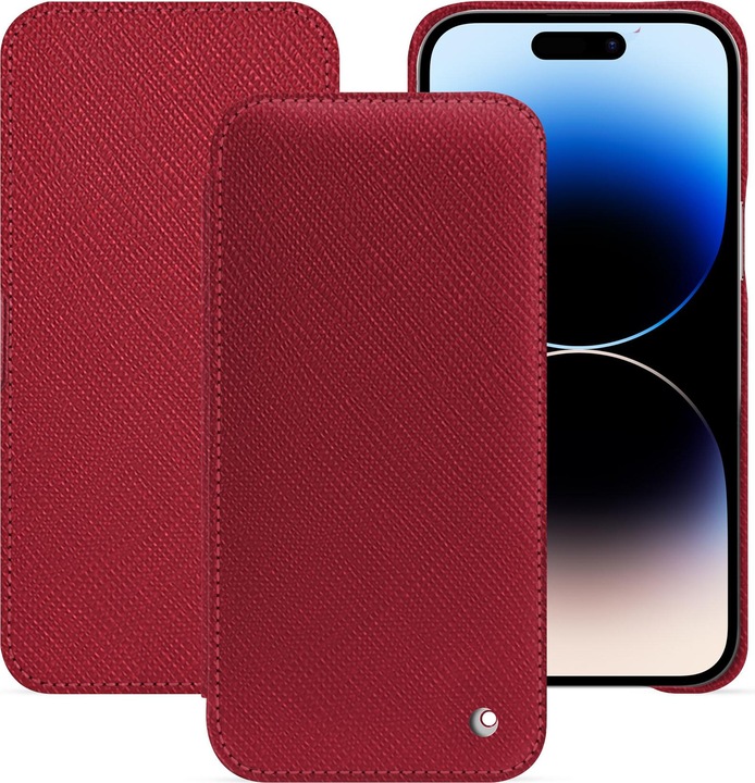 Rouge passion ( Pantone #a6192e )