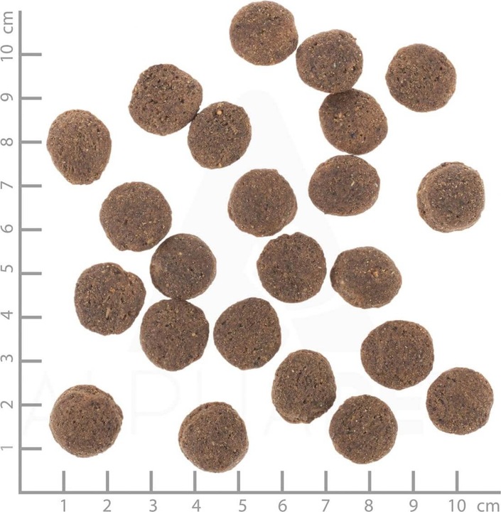 Produktbild Wolfsblut VetLine Hypoallergenic Trockenfutter Hund 2 kg (Adult, 1 Stk., 2000 g)