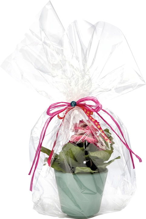 Immagine prodotto Folia rotolo cristallino (Pellicola da regalo, 1 x)