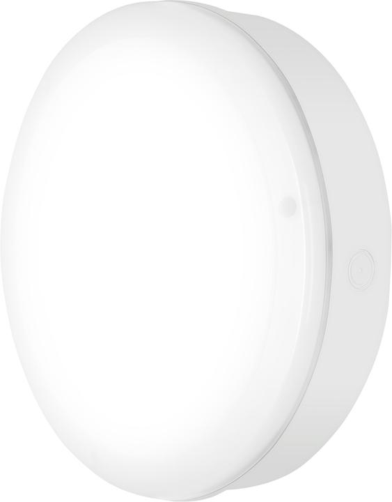Actual product image Ledvance SF BLKH S 250 P10W 840 WT IP65 (800 lm)