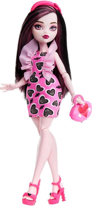 Actual product image Monster High HRC11
