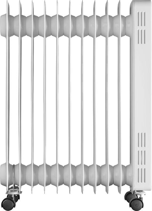 Actual product image Concept RO3411 (2300 W)