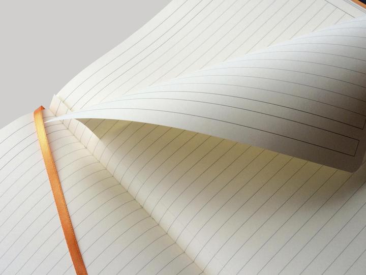 Actual product image Rhodia Notebooks and notebooks Rho (A4+, Lined, Hardcover)