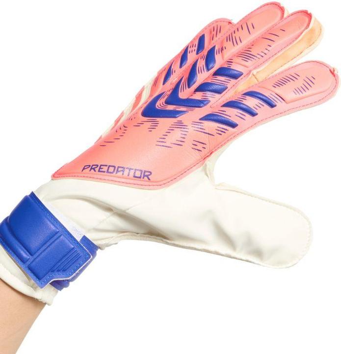 Produktbild Adidas Predator Trainings-Torwarthandschuhe (11.5)