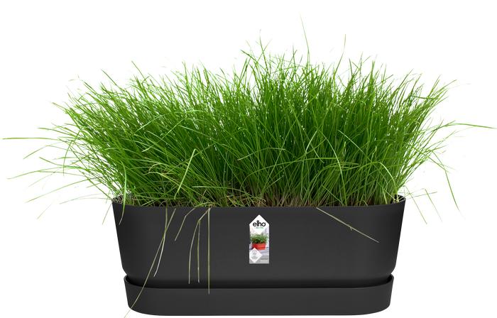 Image du produit Elho Bac à fleurs (19 cm)