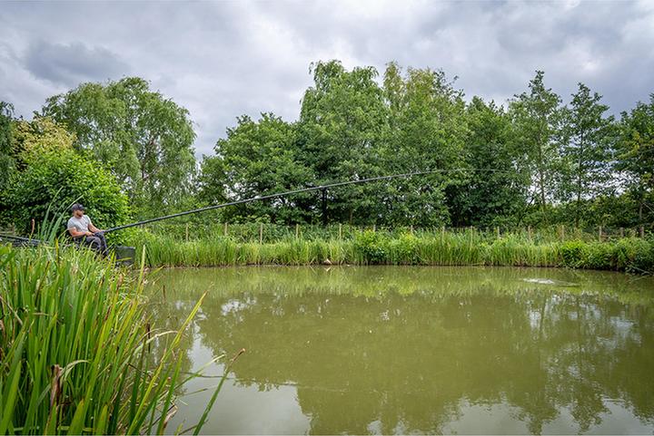 Produktbild Matrix MTX4 V2