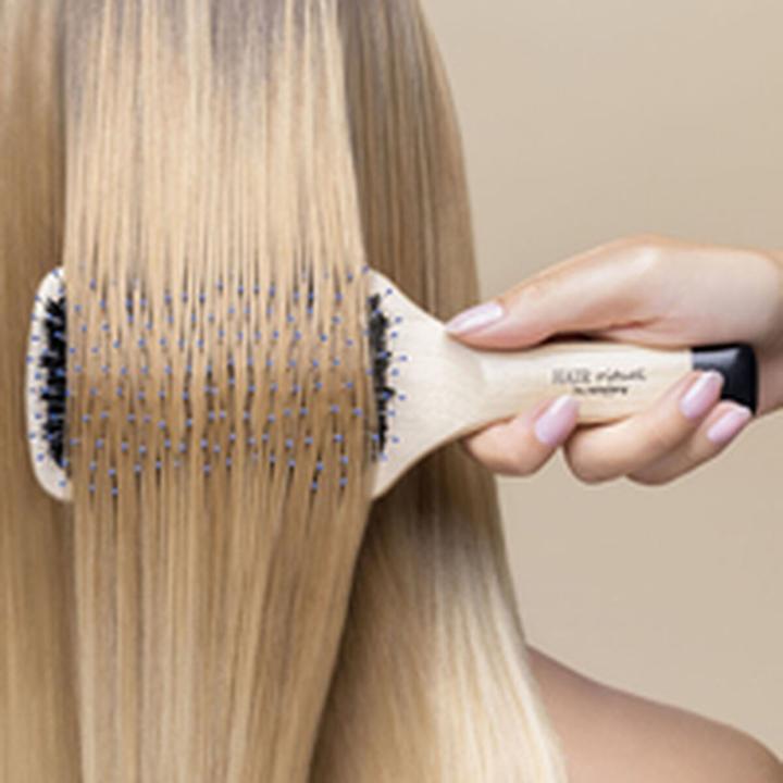 Image du produit Sisley La Brosse Brillance & Douceur