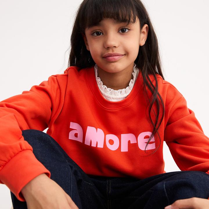 Produktbild La Redoute Collections Sweatshirt mit Rundhalsausschnitt aus Molton (110)