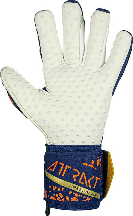 Produktbild Reusch Torwarthandschuh Attrakt Speedbump Premium - 9.5 (9.5)
