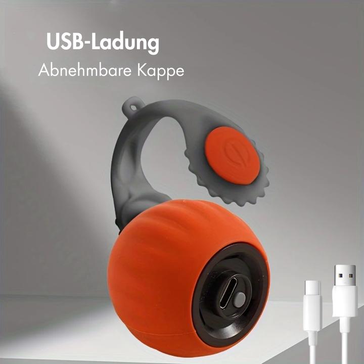 Actual product image Suba Katzenspielzeug mit Schwanz (Intelligence toy cat)