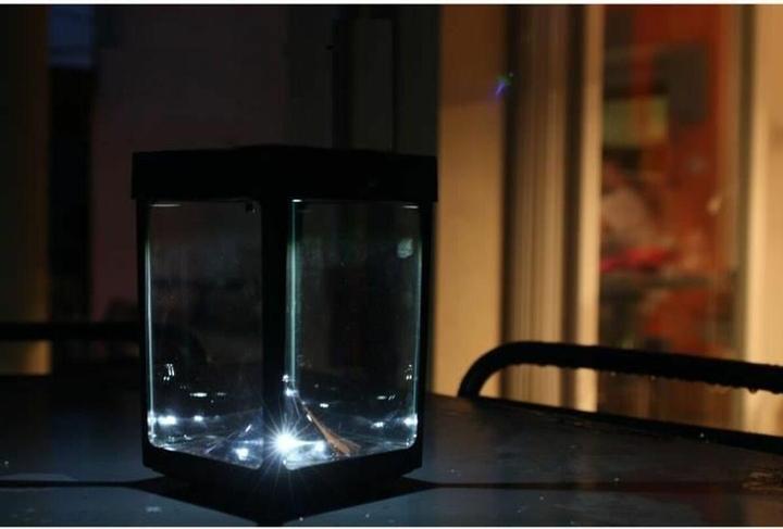 Productafbeelding Zonnelantaarn Mini Fotofoor