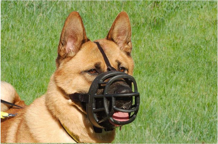 Produktbild Company of Animals Maulkorb Ultra Muzzle Gr. 2 (2, Hund, Allgemein)