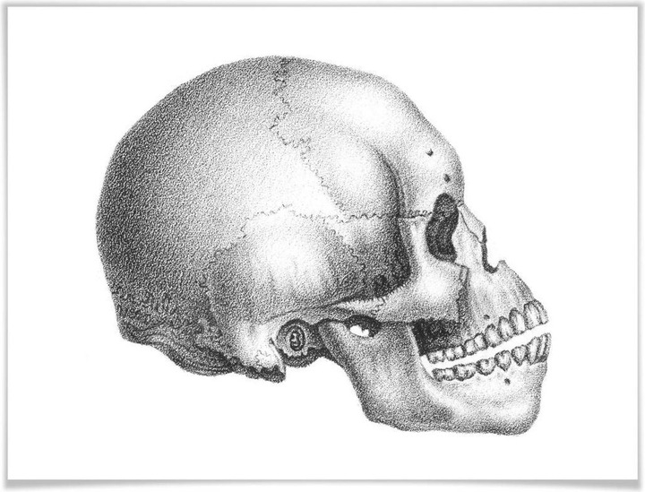 Actual product image Trenddeko Skull 02 (30 x 24 cm)