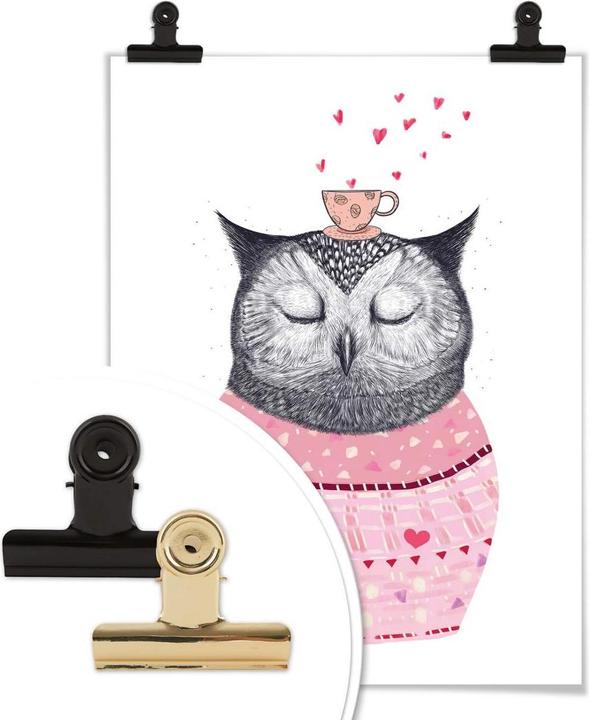 Immagine prodotto Trenddeko Gufo amante del caffè (24 x 30 cm)