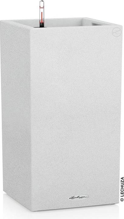 Lechuza Planter Canto Stone 30 High (30 x 30 x 56.80 cm)