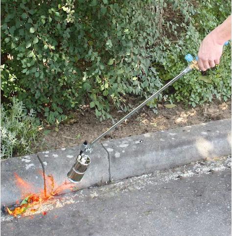 Actual product image CFH Flame treatment unit PZ6500