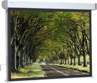 Image du produit Projecta Hapro Manual Classic 160x160 MW 1:1 no Border (87", 1:1)