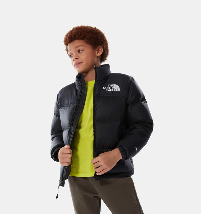 Actual product image North Face Nuptse down jacket (L)