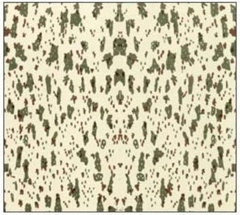 Image du produit Plus Model Deutsche Zelte-SS (clair)