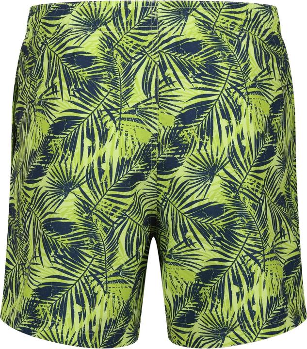 Immagine prodotto Regatta Loras Costume da Bagno a Pantaloncino Impronta del Palmo Uomo (L)