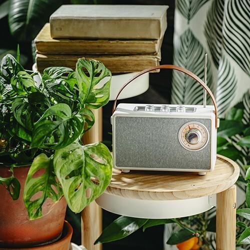 Image du produit Camry Haut-parleur avec radio | CR 1902 W | 5 W | Bluetooth | Blanc | Connexion sans fil (5 h)