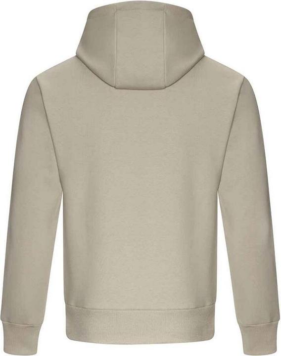 Image du produit Awdis Chandail à capuchon lourd Signature pour hommes (L)