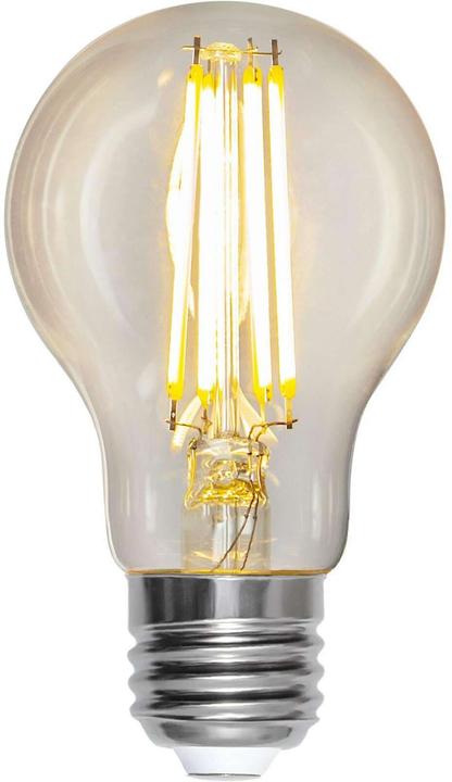 Actual product image Star Trading LED Bulb E27 A60 Clear (E27, 810 lm, 1x)