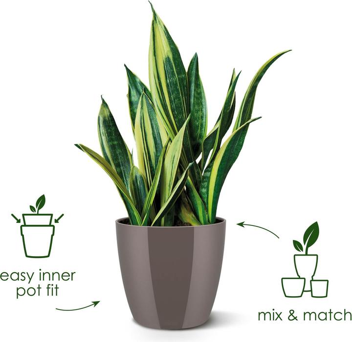 Actual product image Elho Brussels (20 x 19 cm)