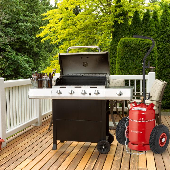 Actual product image Relaxdays Gas cylinder trolley