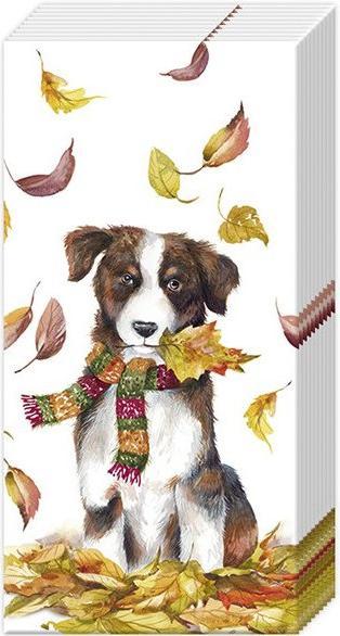 Produktbild IHR Taschentücher DOG HAVING FUN