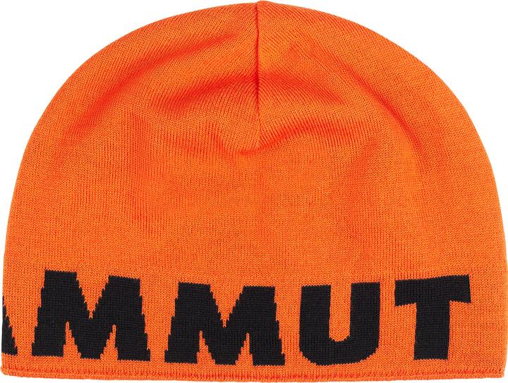 Actual product image Mammut Logo Beanie (One size)