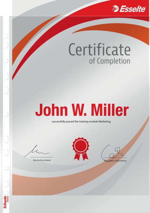 Actual product image Leitz Esselte Premium brochure cover, A4, PP, crystal clear, 0.10 mm open top, document-proof, Euro (A4, 1 x)