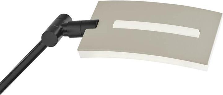 Immagine prodotto Hell Evolo Lampada da terra LED Dimmerabile 146cm CCT Taupe 60538/1-12