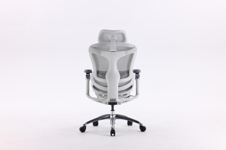 Image du produit Sihoo Doro C300